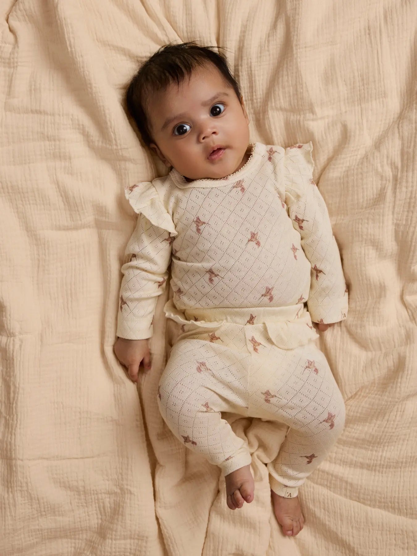 Lil' Atelier Langarm Rüschen Body Kolibri turtledove