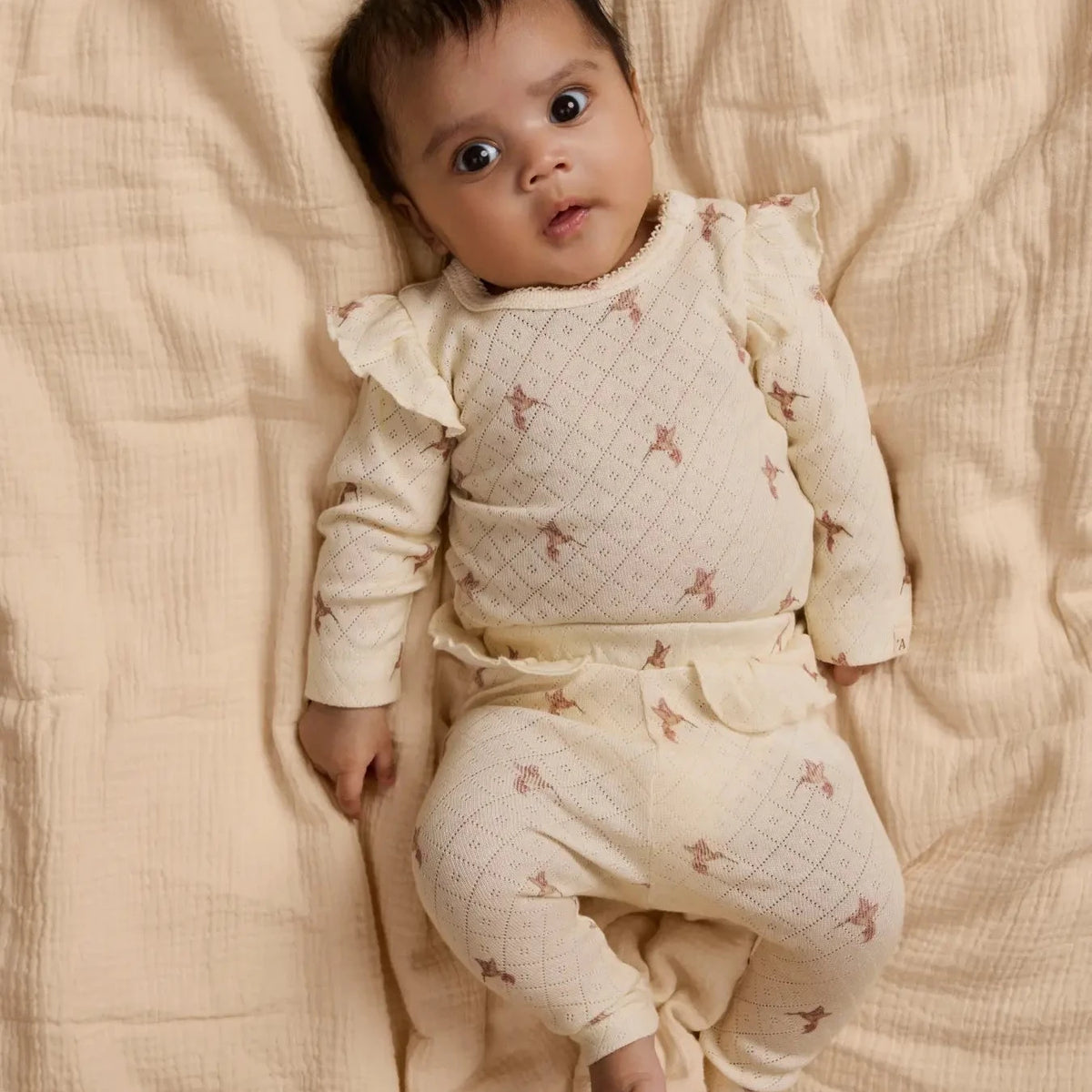 Lil' Atelier Langarm Rüschen Body Kolibri turtledove