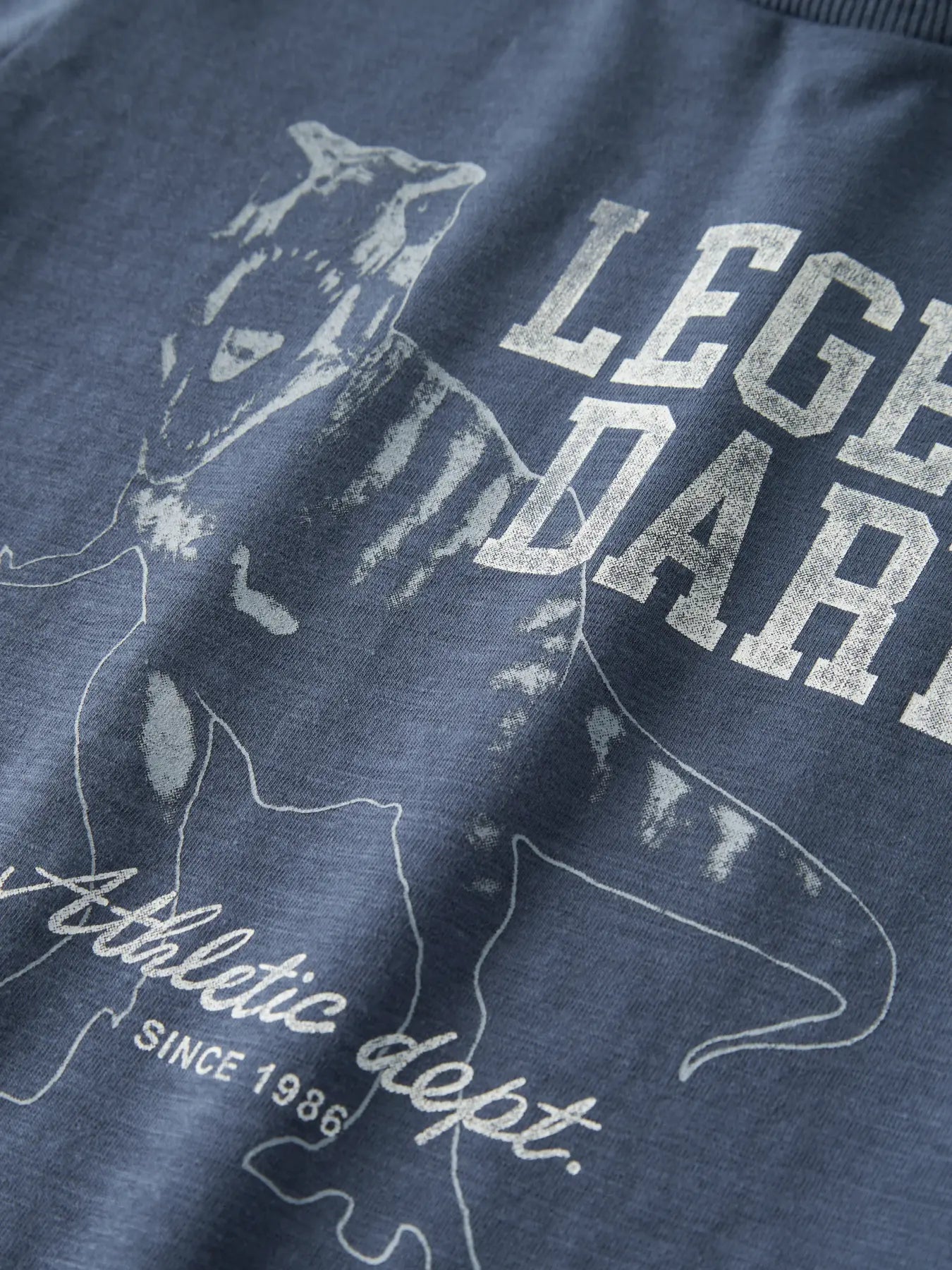 Name it T-Shirt Dino vintage indigo