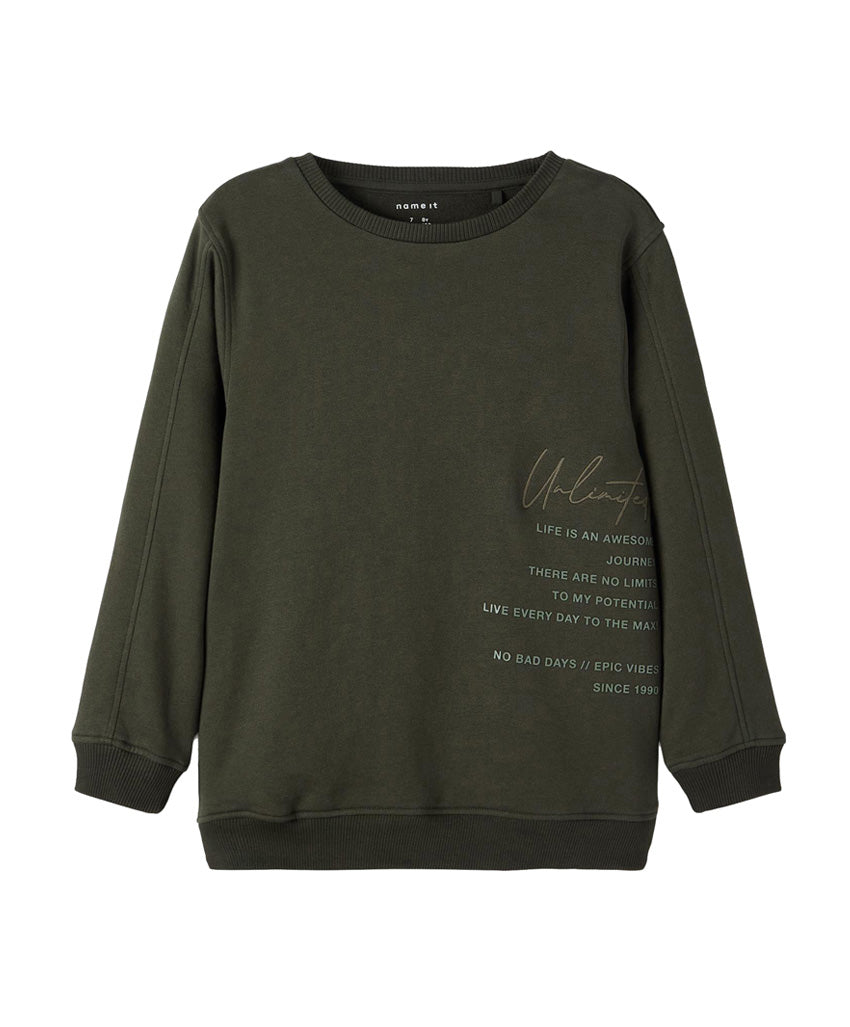Name it Sweatshirt Unlimited beetle