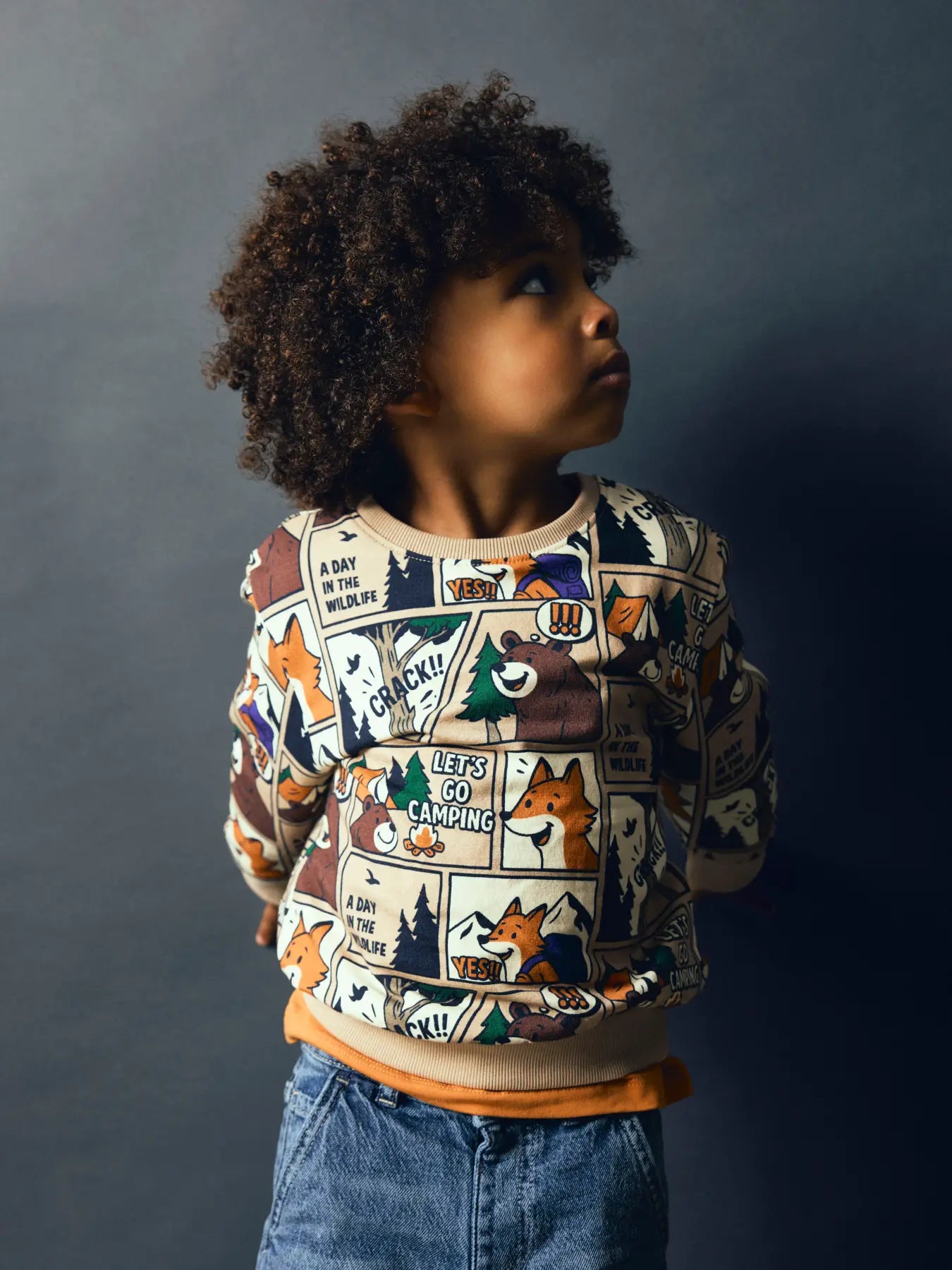 Name it Sweatshirt Comic Fuchs & Bär sesame