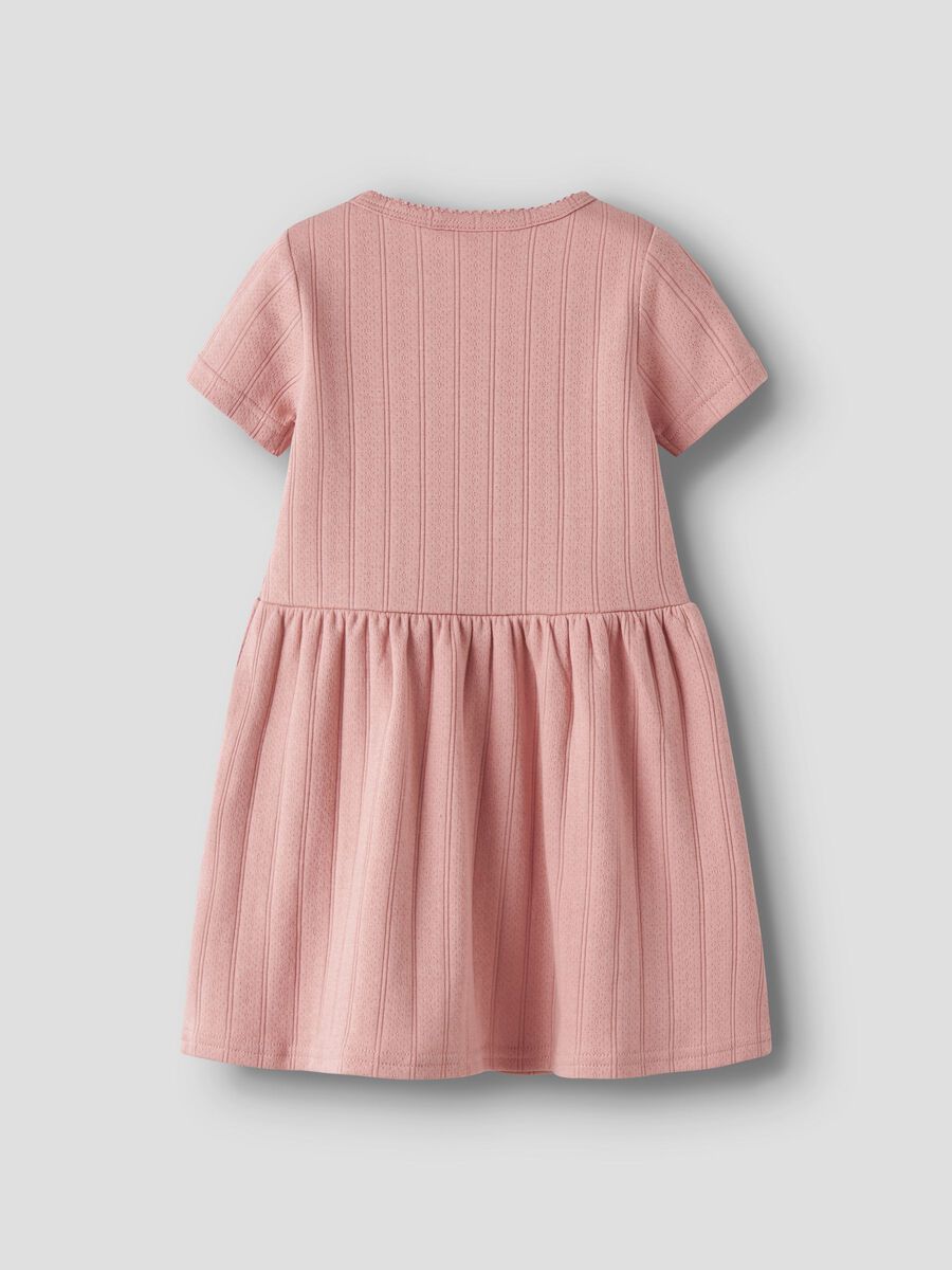 Lil' Atelier kurzarm Kleid misty rose