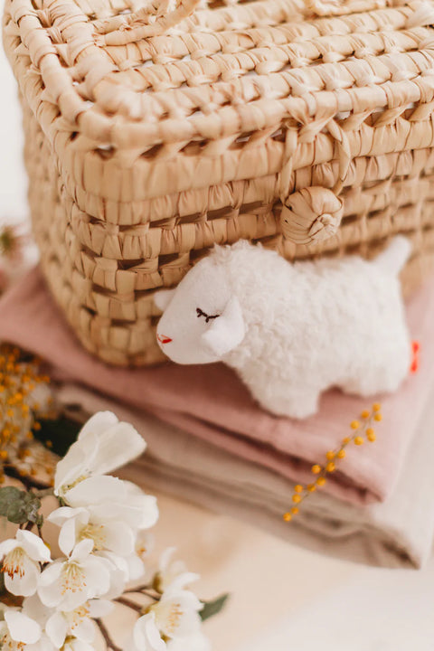 Kikadu Greifling Lämmchen