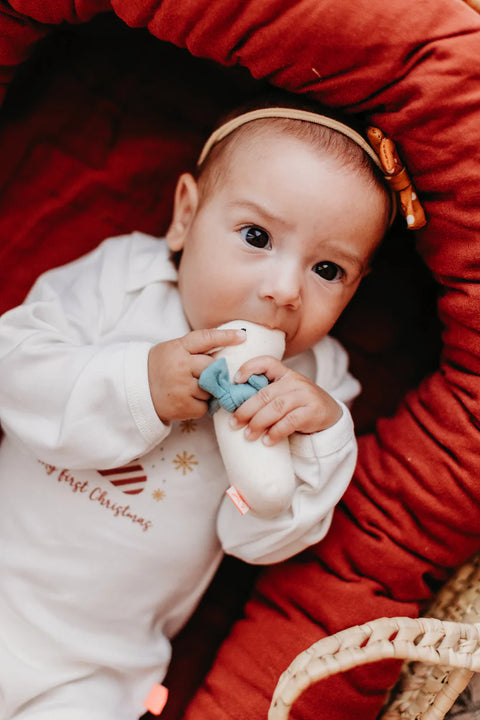 Kikadu Mini Rassel Eisbär