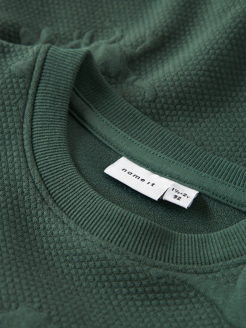 Name it Sweatshirt Dinos gardengreen
