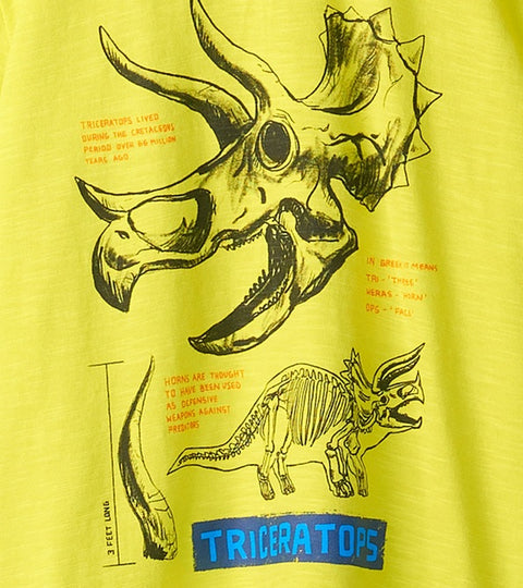 Hatley T-Shirt Triceratops limegelb