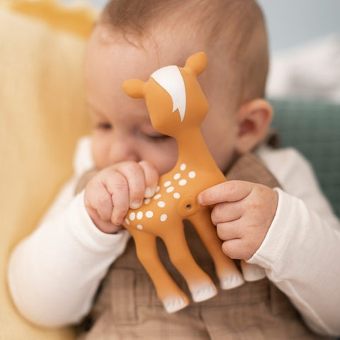 Fanfan das kleine Rehkitz