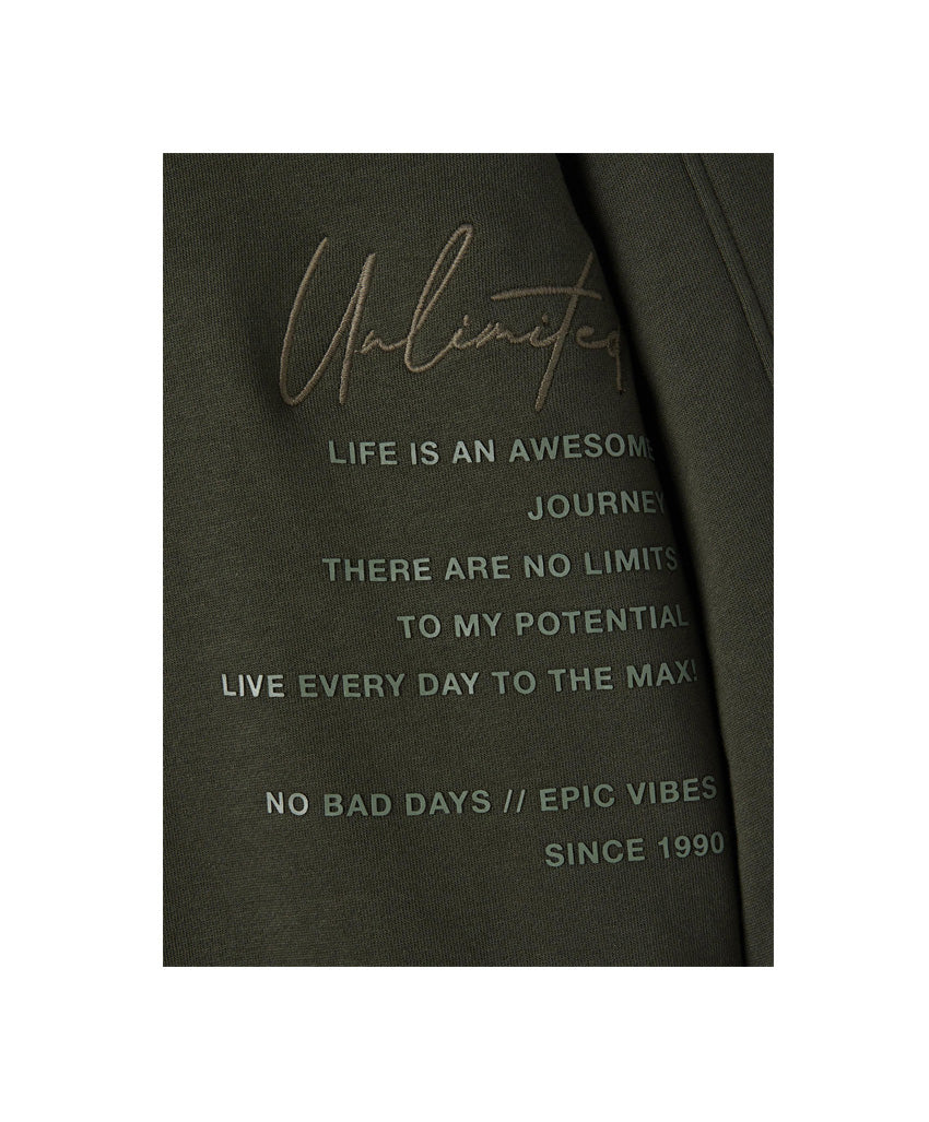 Name it Sweatshirt Unlimited beetle