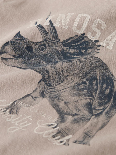 Name it T-Shirt Dino chateau gray