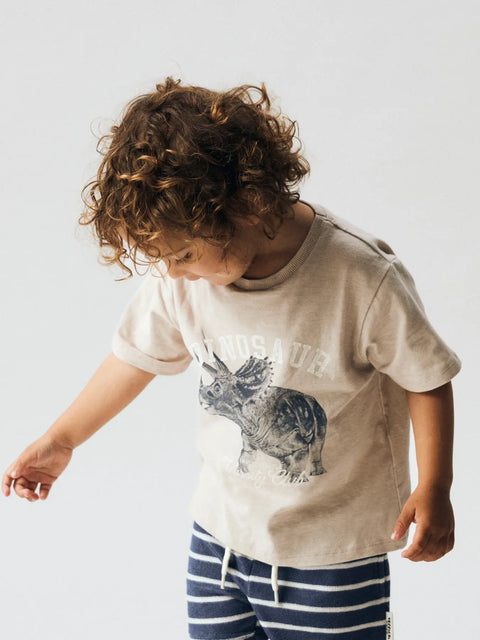 Name it T-Shirt Dino chateau gray